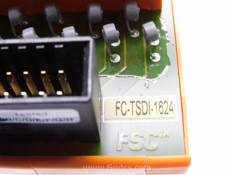 FC-TSDI-1624 3.jpg